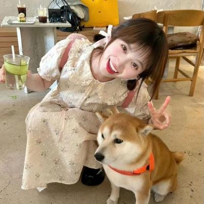 双人保姆 海报