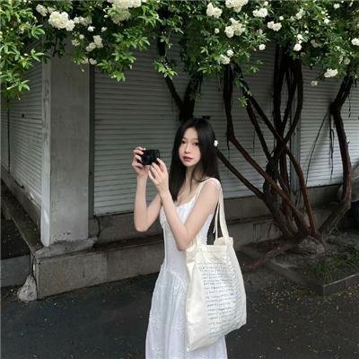 校影迷雾 海报